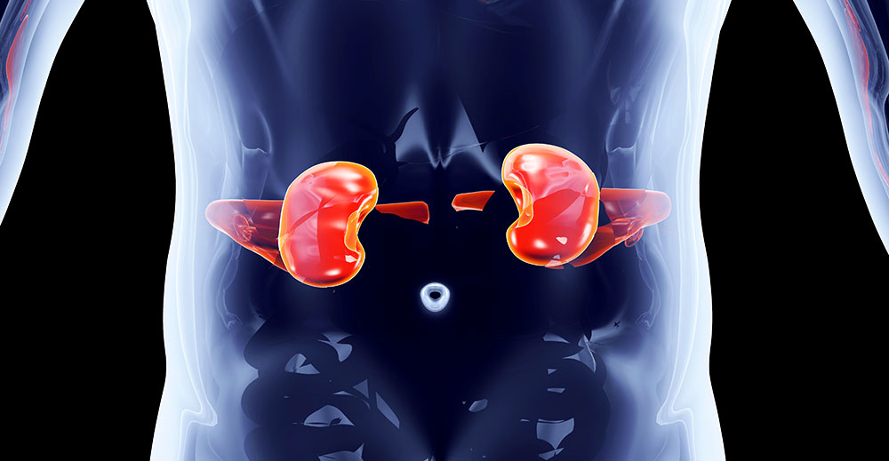 Urology | Specialities & Treatments at Parkside Suite